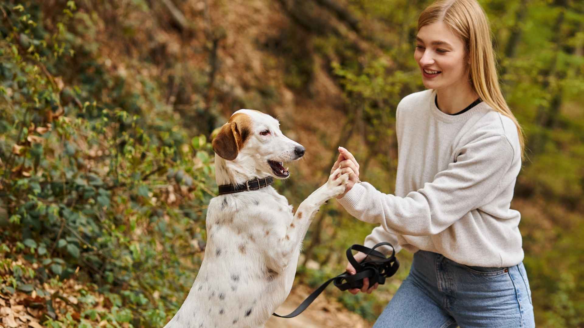 Educar sin collar de ahorque